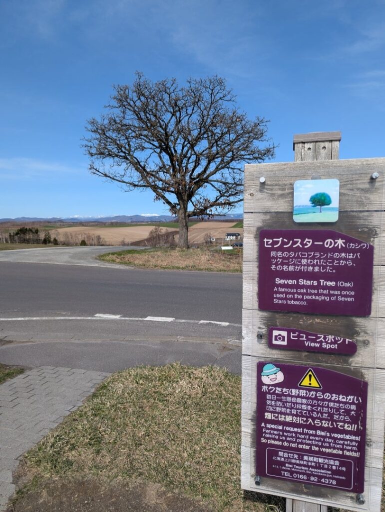 セブンスターの木