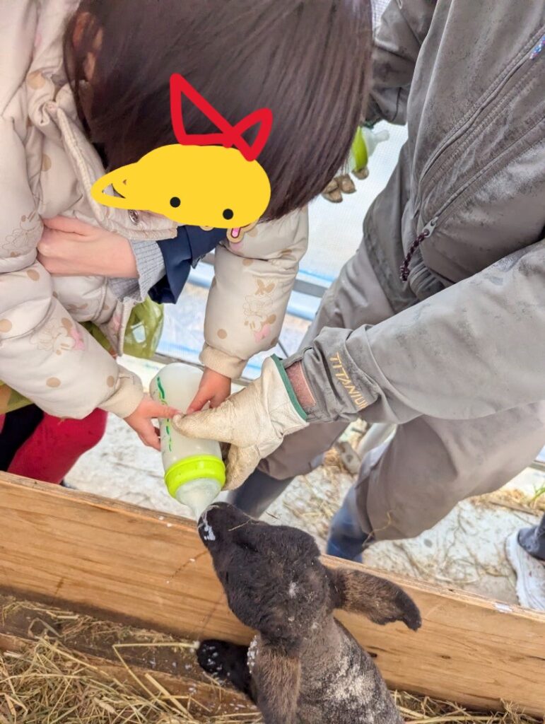 ファームズ千代田 ミルクやり体験