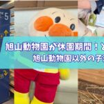 旭山動物園休園期間　旭山動物園以外