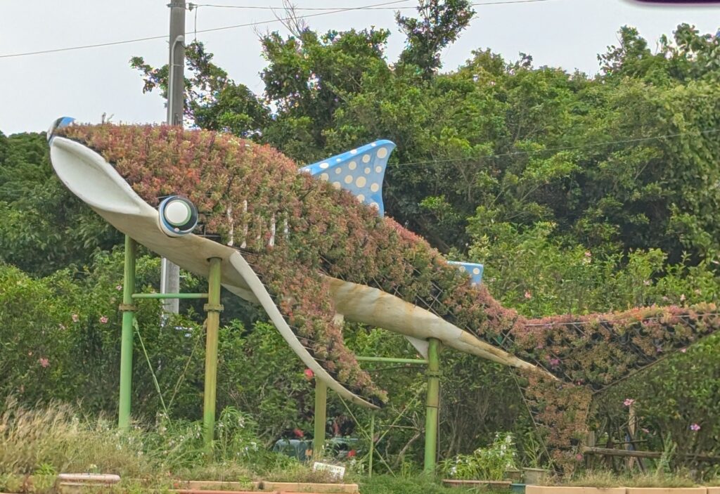 美ら海水族館　近く